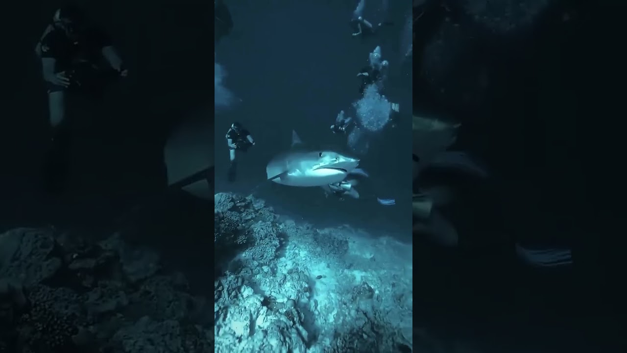 BMW edit #bmw #edit #bmwm3