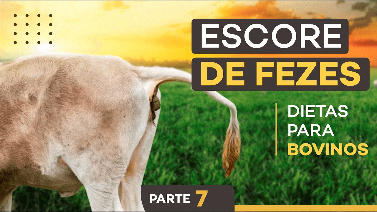 #7) ESCORE DE FEZES - DIETAS PARA BOVINOS - PARTE 7