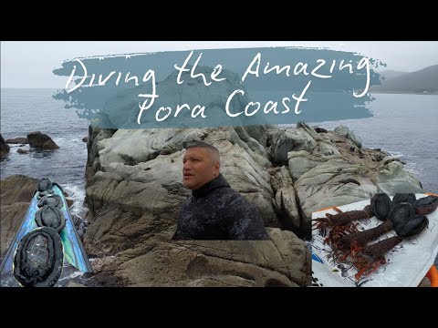 Diving the Awesome Tora Coast-Wairarapa, New Zealand