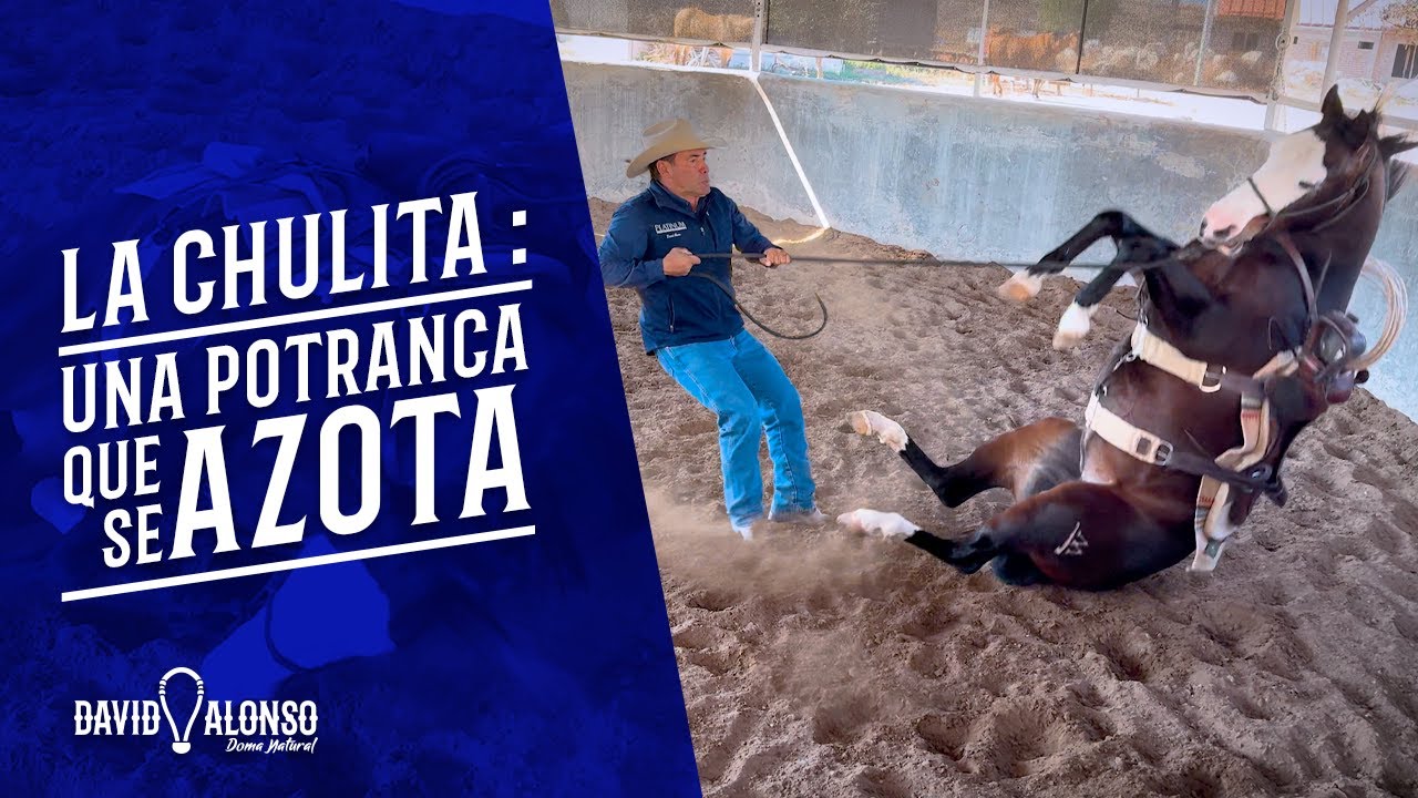 La Chulita : una potranca que se azota