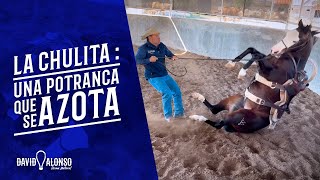 La Chulita : una potranca que se azota