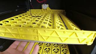 custom built chicken incubator from old wine cooler