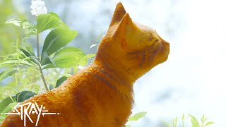 涙。衝撃的なエンディングを迎える「猫になれるゲーム」 - Stray Part4 END