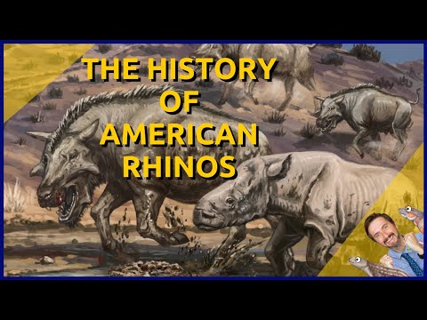 The History of American Rhinos