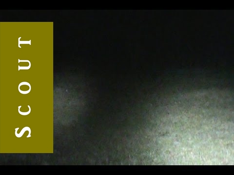 Streamlight Strion LED and HL Flashlight Review - Scout Prepper