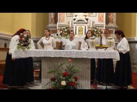 Klapa Nava - O pasiko moja