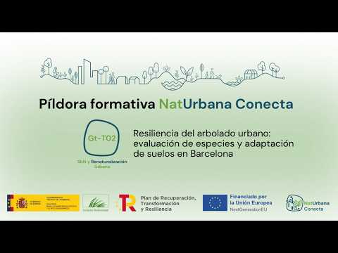 Resiliencia del arbolado urbano: evaluación de especies y adaptación de suelos en Barcelona