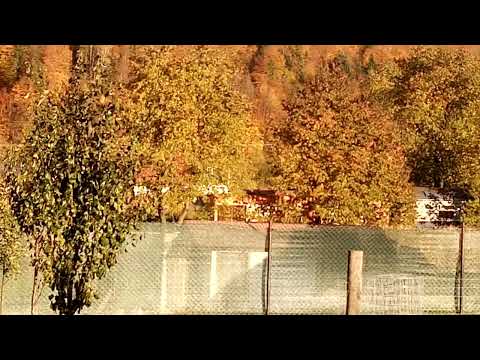 H452 trece prin Putna cu Trenul R5628 Putna-Suceava 21.10.2022