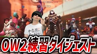 もこうのオーバーウォッチ2 練習 ダイジェスト 2025/4/21 うおw