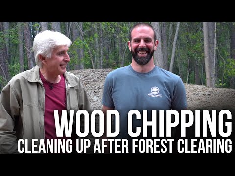 Cleaning Up After Forest Clearing | Forest to Farm