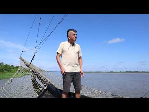 Frevo De Cananéia - Packaw