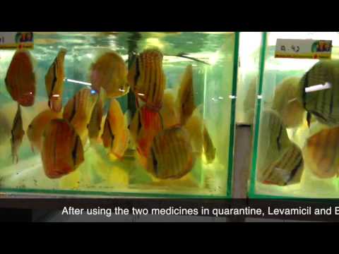 Watch Video on YouTube