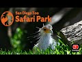 Safari Park State Of The Park Summer 2025