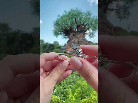 Animal kingdom Pandora bracelet #disney #jewellery #pandora