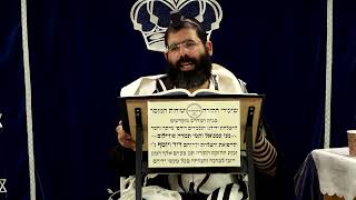 דף היומי שבועות דף ל"ג ע"ב ¤ הרב נתנאל אברז'ל ¤ בית הכנסת "בית מרדכי" (מוסדות תורת דוד) - התמונה מוצגת ישירות מתוך אתר האינטרנט יוטיוב. זכויות היוצרים בתמונה שייכות ליוצרה. קישור קרדיט למקור התוכן נמצא בתוך דף הסרטון