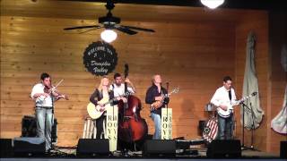 The Roys - I'm Still Standing