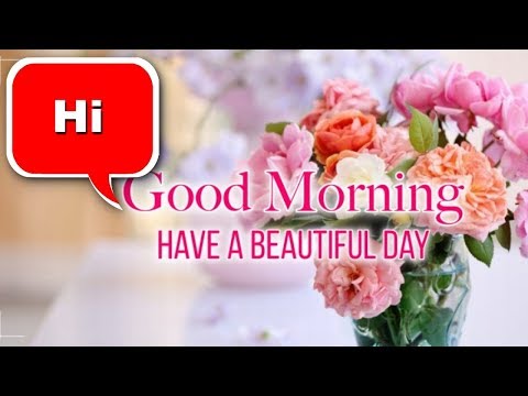 Good Morning Good Day Gifs Video