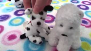 Music video: cant behave :Courtney Jaye