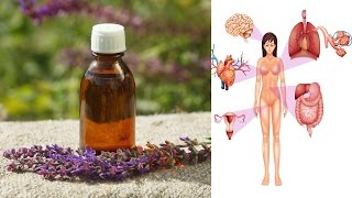 8 Amazing Benefits of Clary Sage Essential Oil
