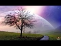 Really Slow Motion - Horizons (Marika Takeuchi ...