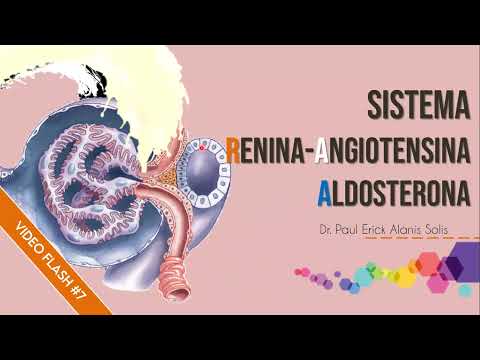 VideoFlash #7 - Renin Angiotensin Aldosterone System