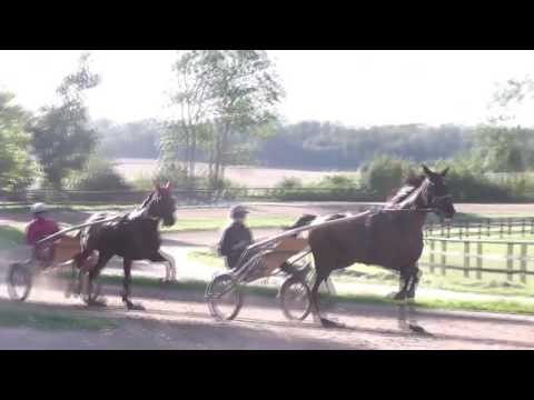 Elicatte de Viette et Déesse of Fairy