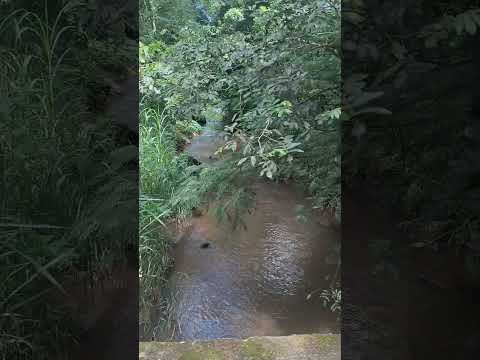 Chegada na Fazenda São Leandro em Rio das Flores, RJ