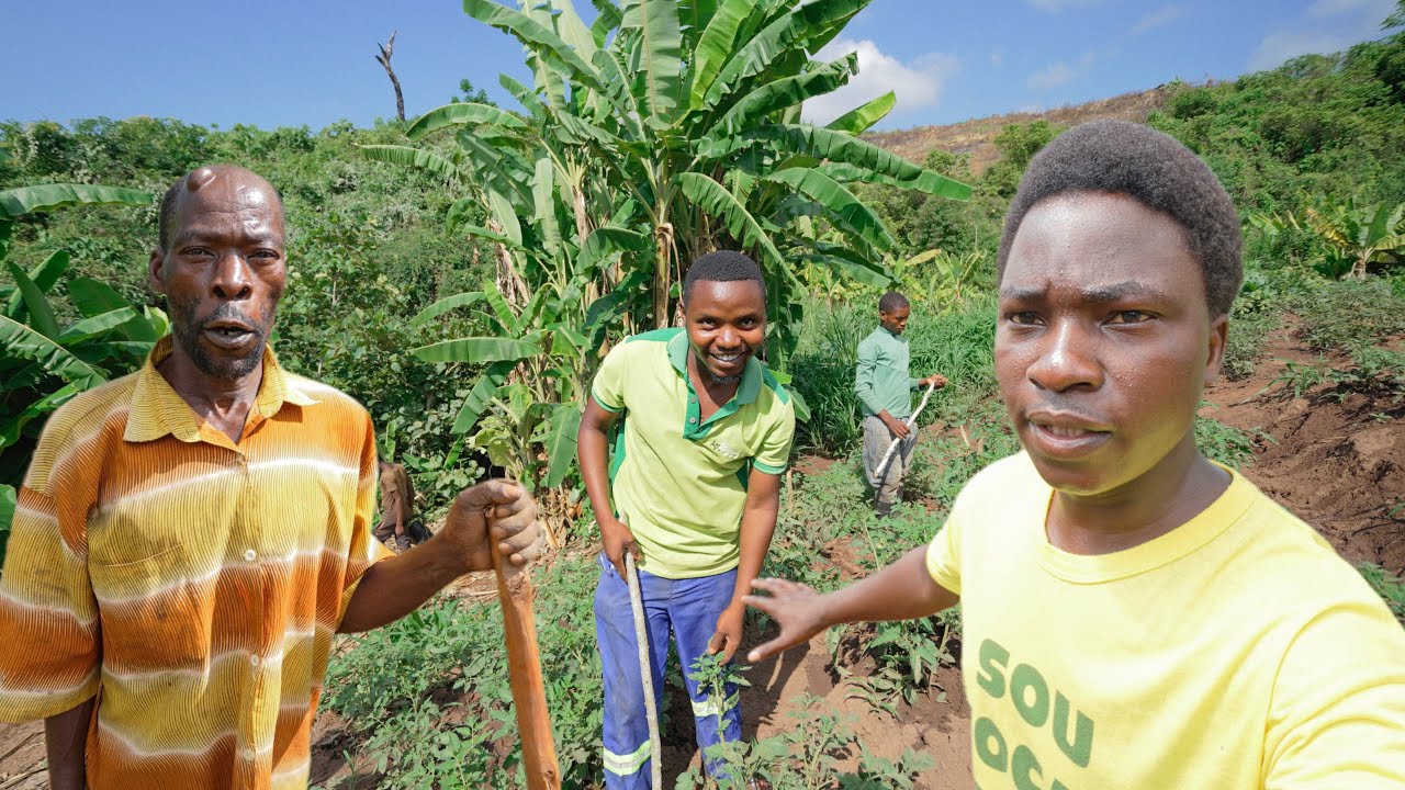 Fizemos o Tutoramento dos Tomateiros e Saímos em Busca de Mudas: O Dia nos Surpreendeu!