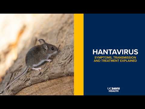Thumbnail preview of Hantavirus Symptoms, Transmission and Treatment Explained