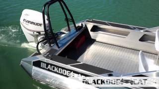 Blackdog Cat-Boating with no bungs!