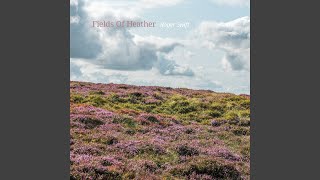 Fields Of Heather