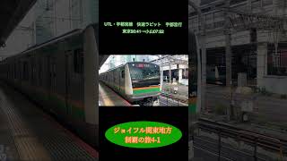 ジョイフル関東地方制覇の旅4-1  #鉄道旅 #ジョイフル #外房線 #総武快速線 #宇都宮線 #水戸線 #定食 #ドリンクバー