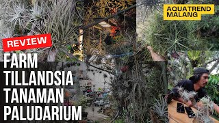 #367 ketemu senior!!! Maen Aquascape dari tahun 80an, AQUATREND malang.