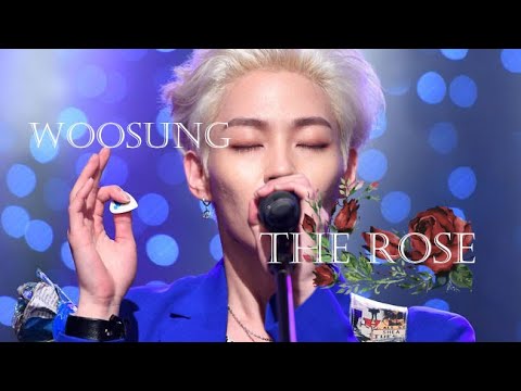 WOOSUNG │ THE ROSE │ FMV