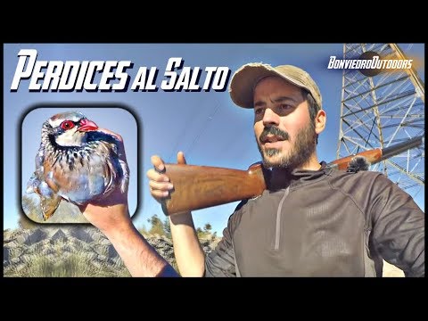 CAZA de PERDICES SALVAJES a Guerra Galana