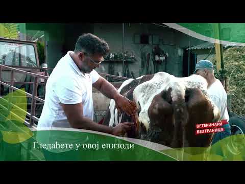 Veterinari bez granica ep. 227 06.09.2023. NAJAVA