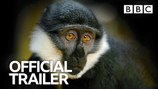 Primates: Trailer | BBC Trailers