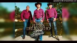 El Rey De Las Brechas■Los Plebes Del Rancho De Ariel Camacho (Corridos Estrenos 2016)