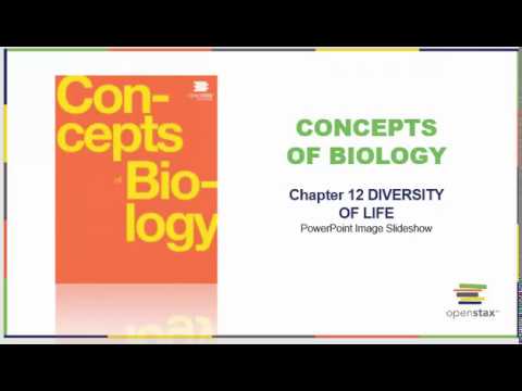 Biology 100 Chapter 12 OpenStax Concepts of Biology