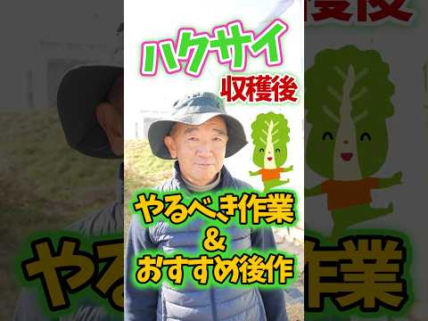 合成マルチ 2022