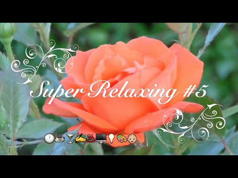 SUPER Relaxing #5 - 1 Hour Loop "Flower Duet" from "Lakmé"- piano with bird-singing and stream sound