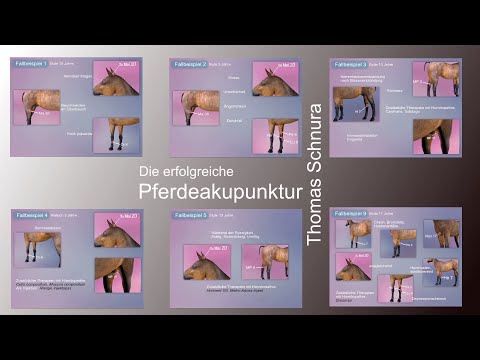 Es gibt die Eier bei der Schuppenflechte Die Schuppenflechte der Sohlen und der Fersen
