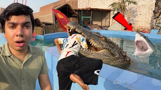 Download lagu Crocodile Ne Ya Kia Kr Dala 😨 mp3