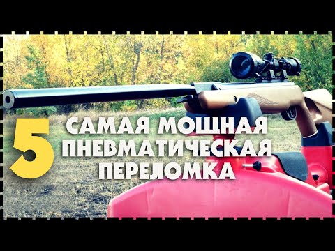 Top 5 Most Powerful and Popular Break-Action Air Rifles