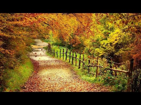 Antonio Vivaldi "Herbst" 1. Satz ~ HD
