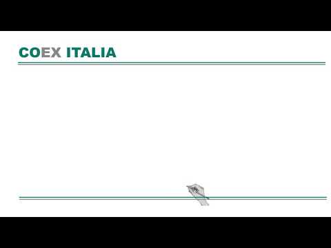 Sicec video mce 2018