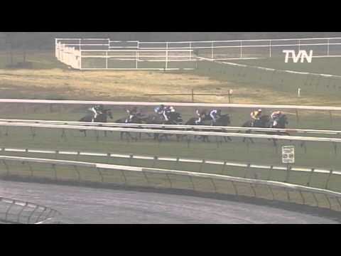 2009 Flight Stakes - More Joyous