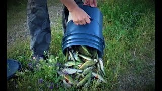 Блесна экстрим фишинг