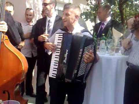 Oaza Band Uzivo - Od Dvora Do Dvora