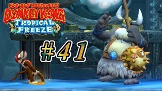 無敵時間有効活用法  #41【ドンキーコングトロピカルフリーズ実況】